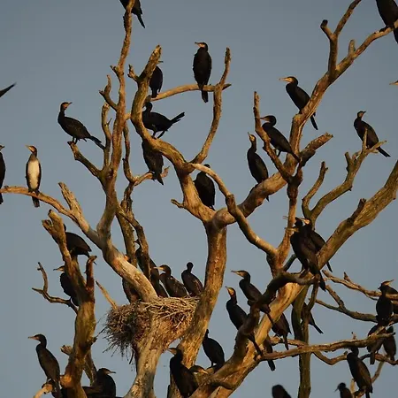 Cichata Nad Zatoka Kamien Pomorski
