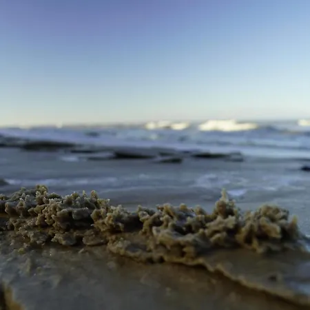 Cichata Nad Zatoka *