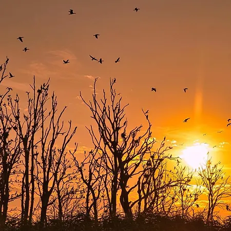 بيت للعطل Cichata Nad Zatoka *