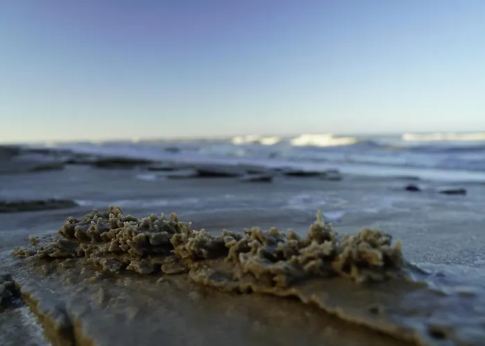 Cichata Nad Zatoka *